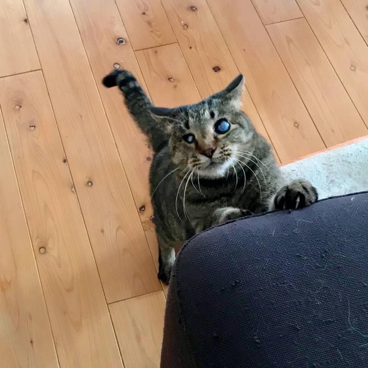 84ec3d29 266c 4ce3 899b 5b51c92cabe2 1618039416970