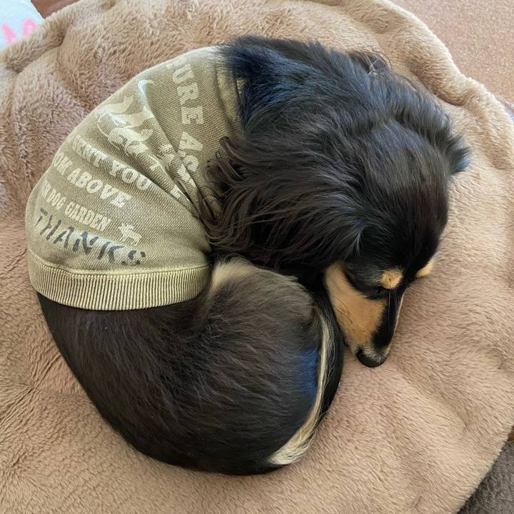 84ec470f 2619 47ad 9450 1c776bab36da 1739575987771