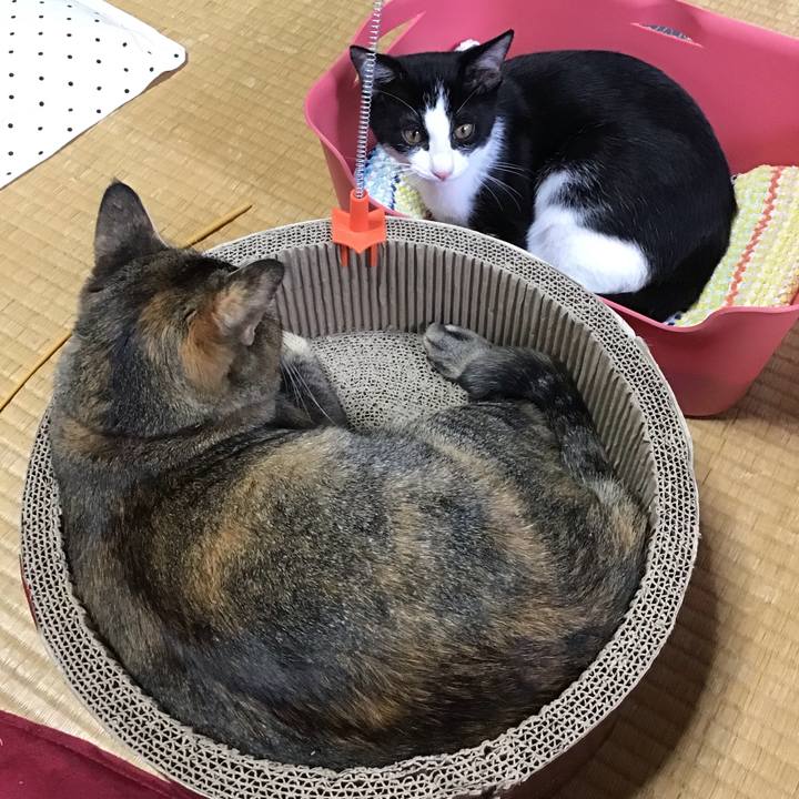 84ec5179 d12f 4e5b b024 ecb666d6e621 1629003598309