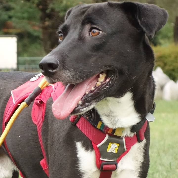 84ec5f30 ab36 44fb ba72 d603a817eaed 1602027976844