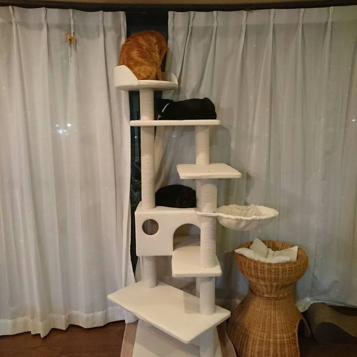 84ec65bd 533d 4b76 b973 3597fc45261c 1507852653590