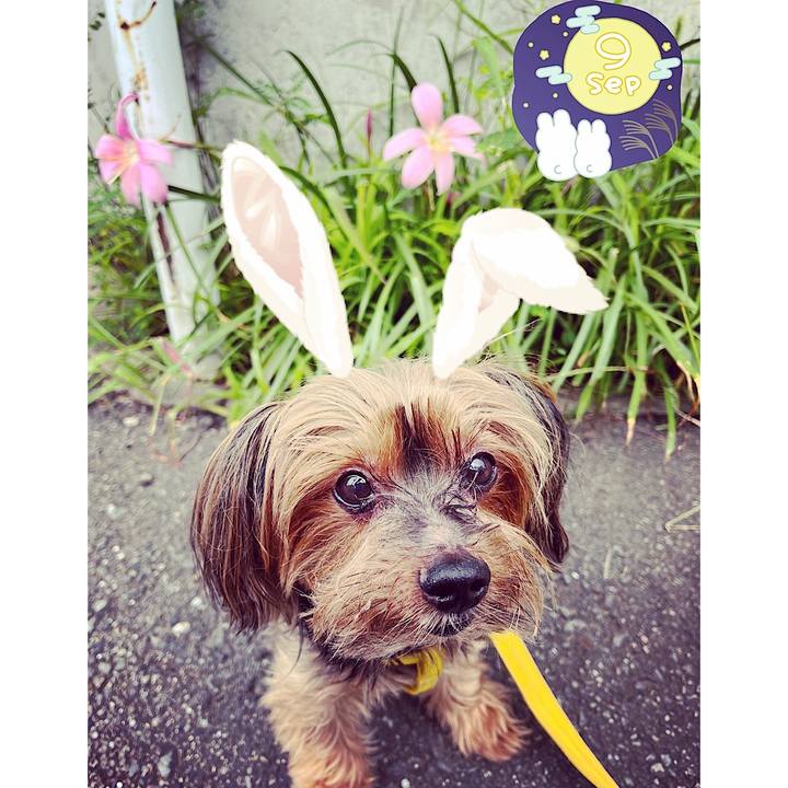 84ec65fe 1c29 4def a244 20d0d06a986b 1662793160421