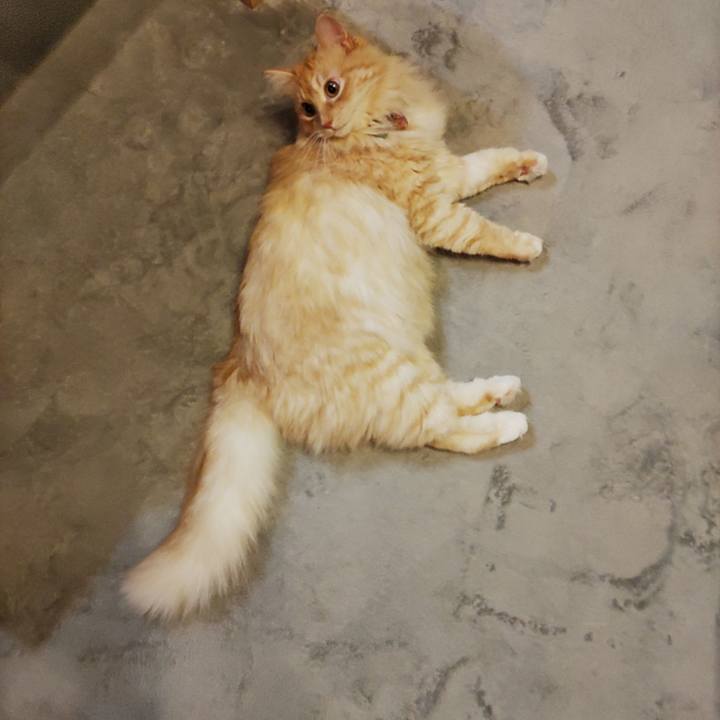 84ec90bb 50ea 4c4b 8ce3 7358e5465ef5 1656941406828