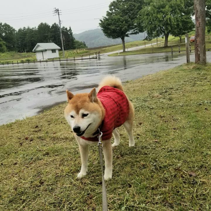 84ec9a04 0f53 4f0d af8e 3f441f09cee4 1621495108163