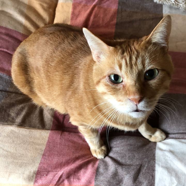 84ecbe9b 9b53 45e8 a325 bbcf7b3ba7b8 1668031760453