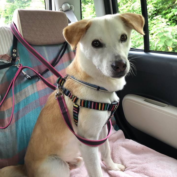 84ecc4b4 52d6 41c4 a4cc 6946a2cfe98f 1629167123564