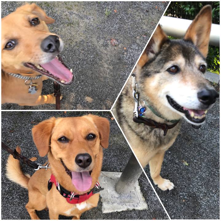 84ecd064 0c81 45c8 9808 e48c25b5223c 1529891057222