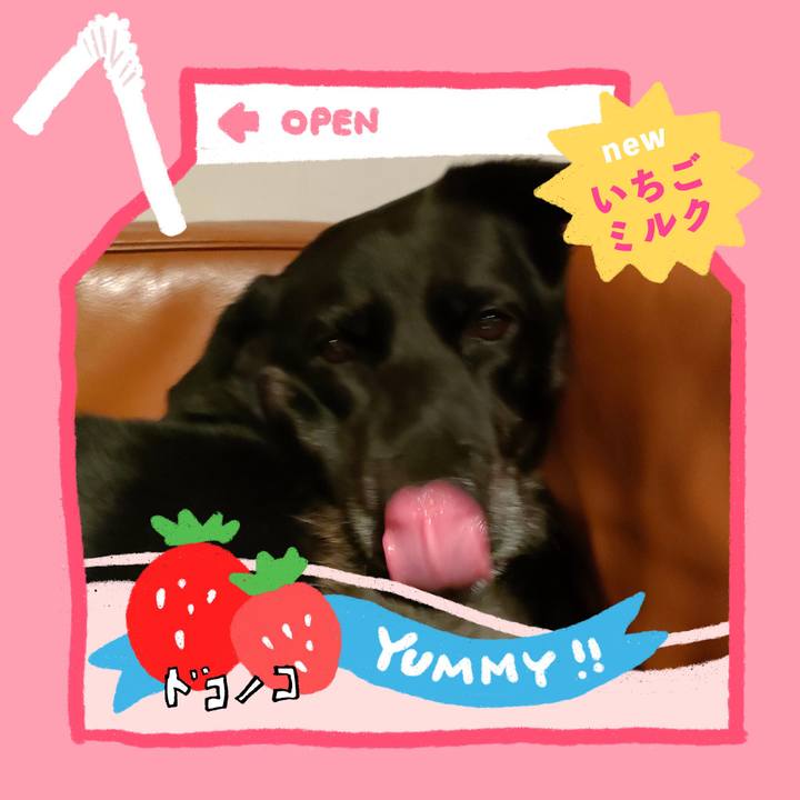 84ecd1f9 2380 49c1 9813 0c0b47129936 1711237599633