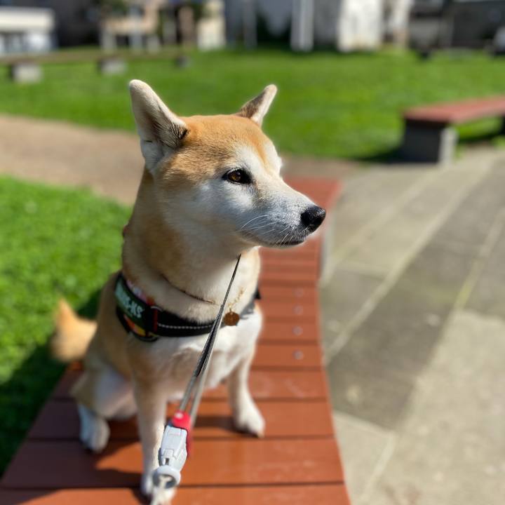 84ed0884 2813 427f 9f86 f2933d0ac957 1600743784931