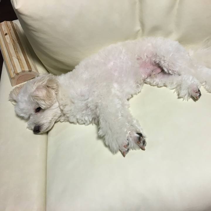 84ed0be8 61e8 4567 b9a2 fdb6b6119865 1558017541459