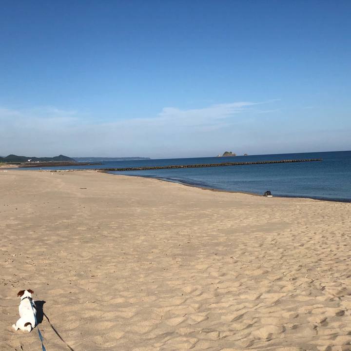 84ed0fd0 2a23 4de7 a501 8388a530304c 1565311173170