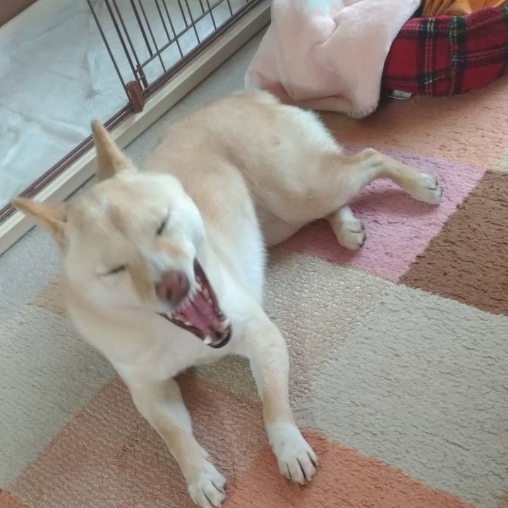 84ed204f a6d0 47b9 9e76 c16180c78f15 1550098858658