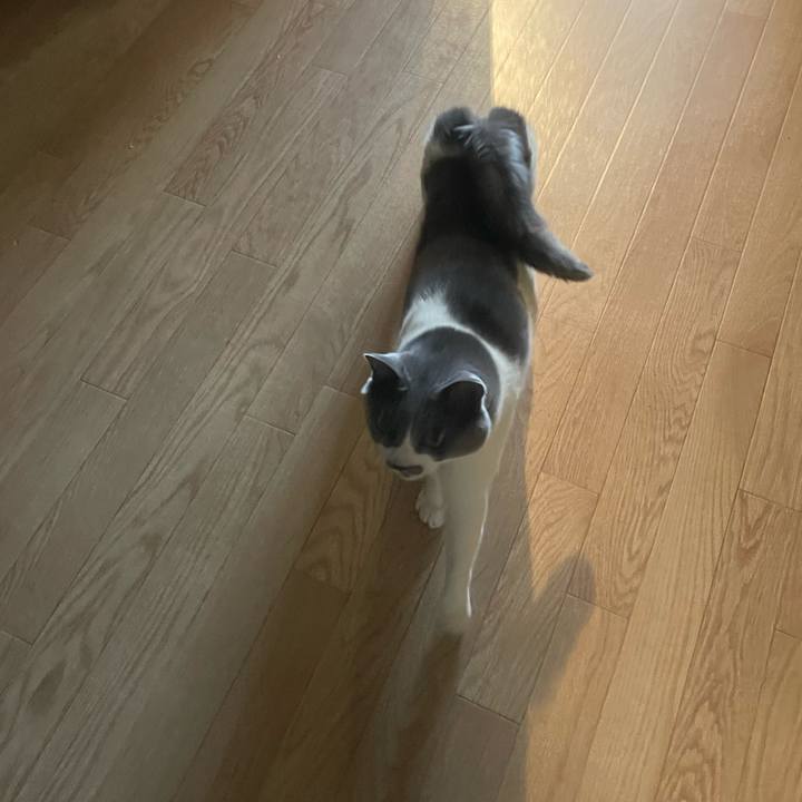 84ed4882 3537 40dd 885e d90125b1beb4 1743740400750