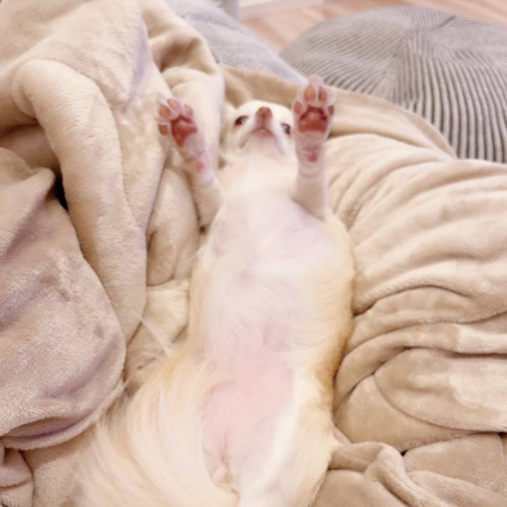 84ed7f9c 59ca 4887 a7d7 c2e422020ff6 1699357456424