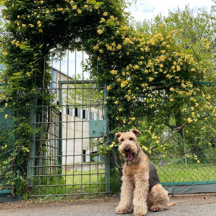 84ed9ce7 182d 4701 8a2e 94da35a7bcc8 1618574675374