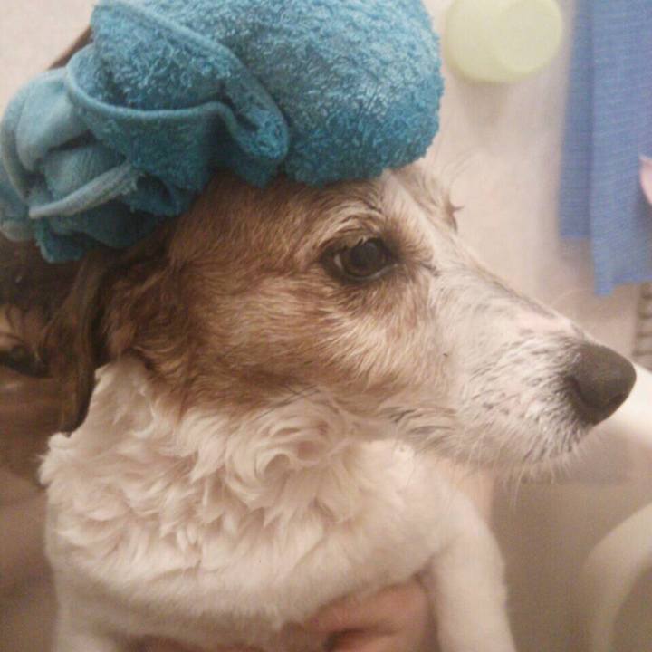 84edbda9 0f3d 444d a1de facf0c7191e1 1564632939022