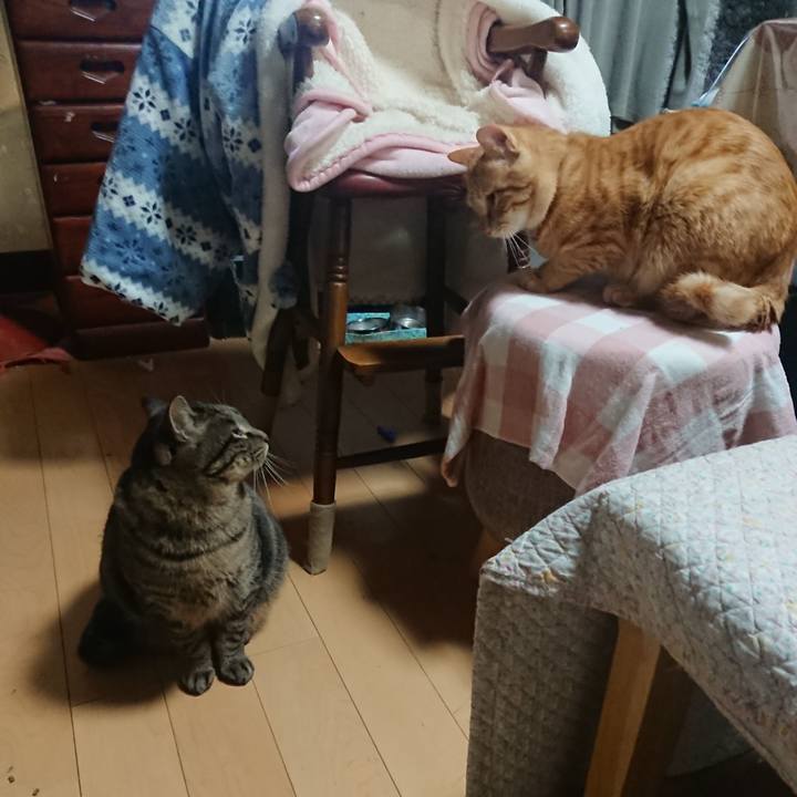 84ee0cd1 3e3f 47ca 9a99 d7f300f237b7 1643536341843