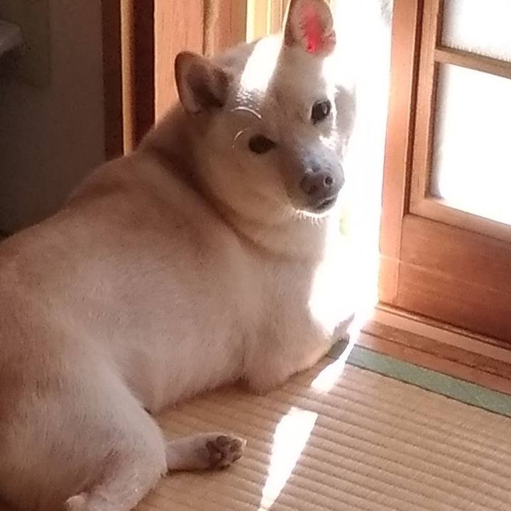 84ee4da7 a213 4946 b342 2510d1f04881 1570579382844