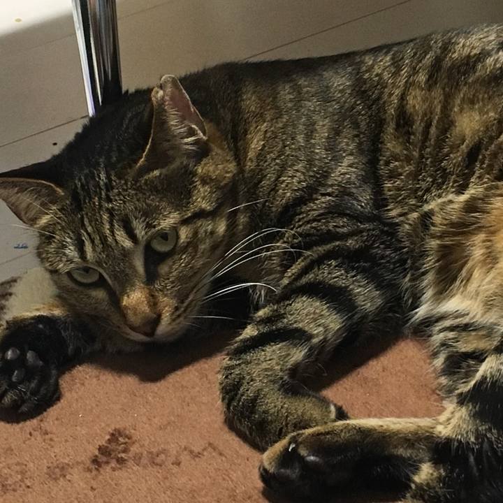 84ee7a16 73ca 4da3 8b9b e43123fbeeb4 1554989559529