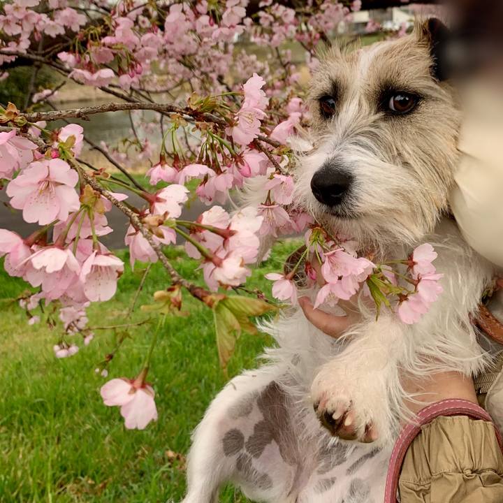 84ee81a2 b56d 4d3b a46f 6bd02ad130c8 1648379090192