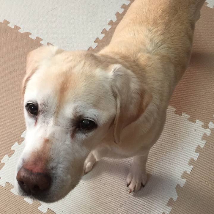 84ee8c05 aea9 4a12 a1eb e0ebe0eeb5fe 1521113453265