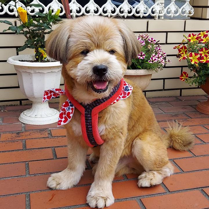 84ee8dde 0342 484e 9167 220baf5a7b36 1655076421505