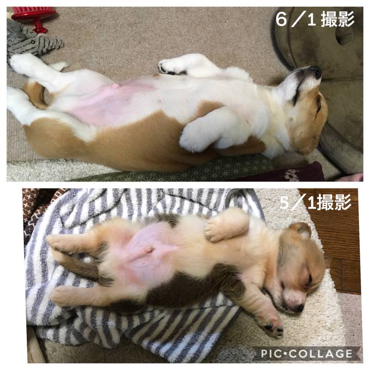 84ee9c75 920e 46a0 9e72 95c191810636 1591057986931