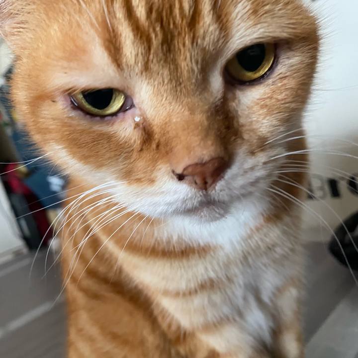 84eea2ca 95c2 4a9d a34b d9f16c82665f 1614320092007