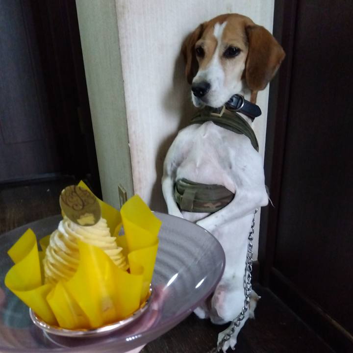 84eebdde 7213 453a 805b 88c71a914f79 1696400164906