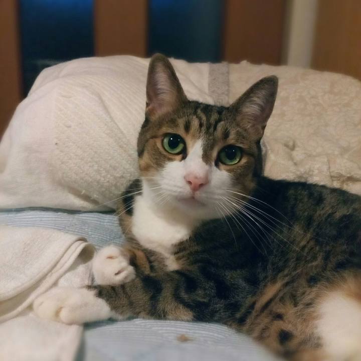 84eef997 bb57 41d2 9bda 2a5eb1f36b5a 1570491486341