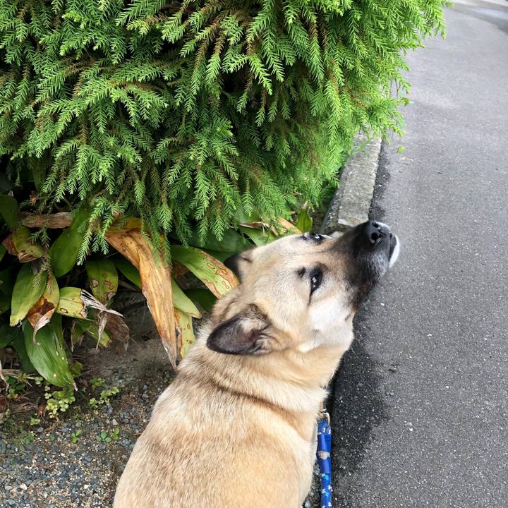 84ef130b 1acf 48ec 9ca6 ed5e97da853e 1528801838072