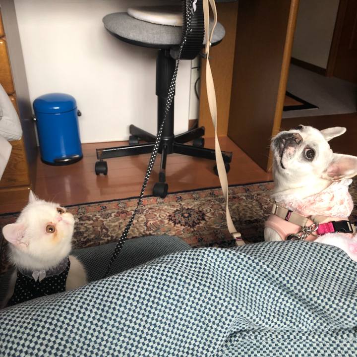 84ef4e88 b85d 4bf7 b9c7 5fdfa91e507d 1556362497162