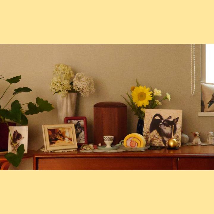 84ef4f6c abf1 46a7 b50c a5ef85865f4c 1624350738183