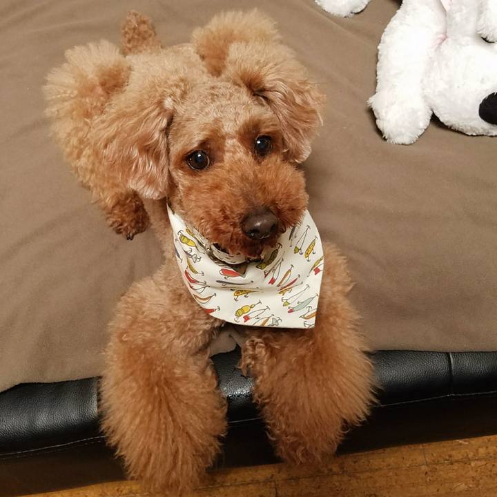 84ef5280 d5c3 42da b3ec 7133db8268b6 1523970368942