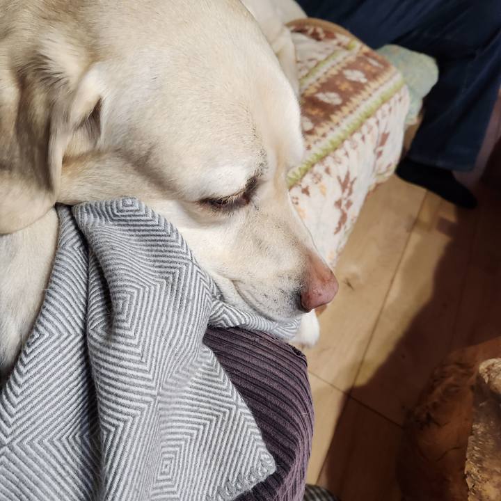 84ef95ab c4cf 4b4c b0d8 7ae632b96b00 1708610207627