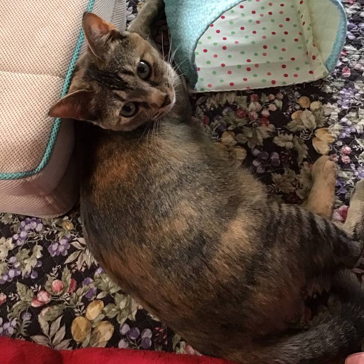 84efafbd 1e68 46f8 a1de 03469e308469 1593390787926