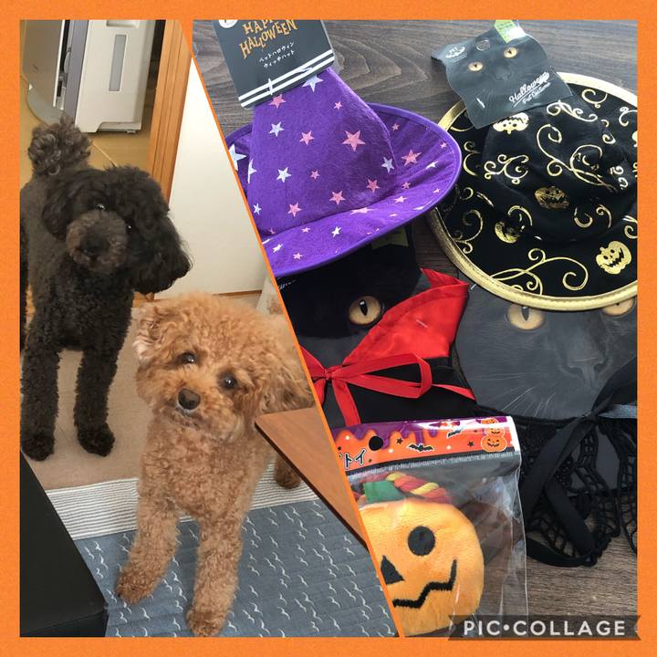 84efe03f 657d 41d5 88ca ae9d7f913eac 1598659321963