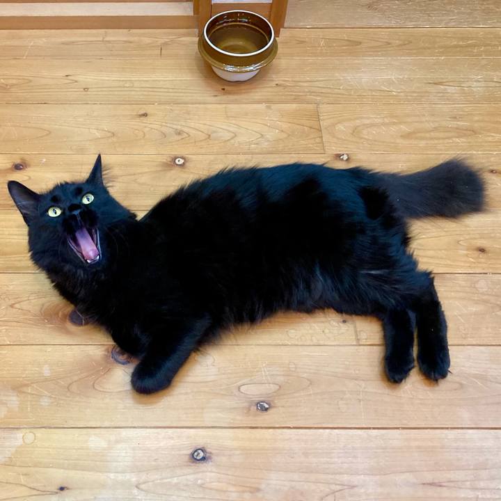 84efe0e0 c0ba 4aaf acf6 680bb9137007 1724559071378