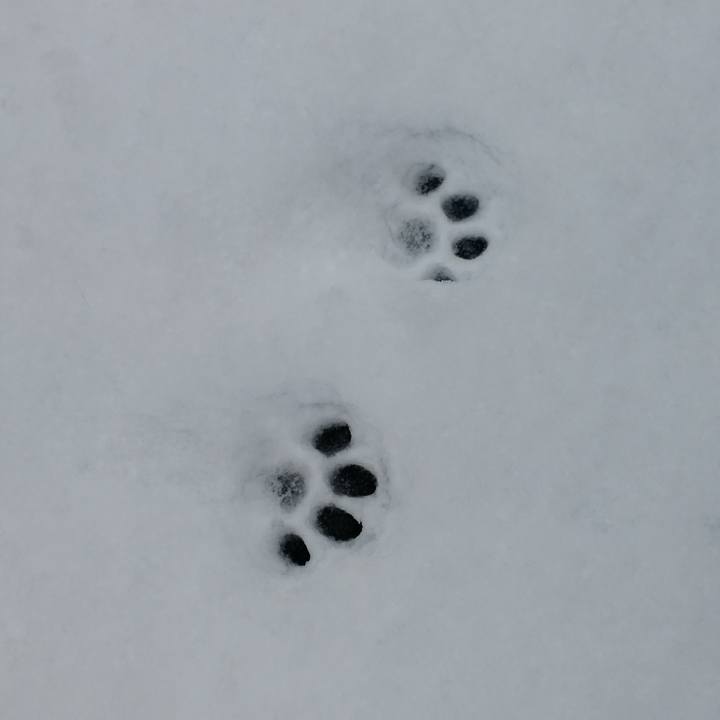 84efe575 0c9f 42e9 9c56 8e93d20159d6 1770554767679