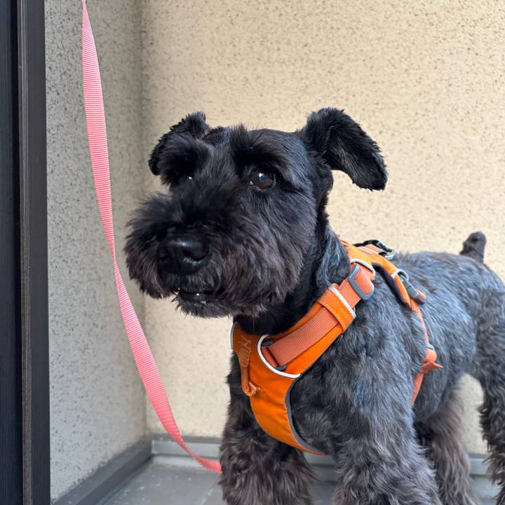 84f0059d 334b 40ec a000 9bcdbb3f51b9 1751711027262