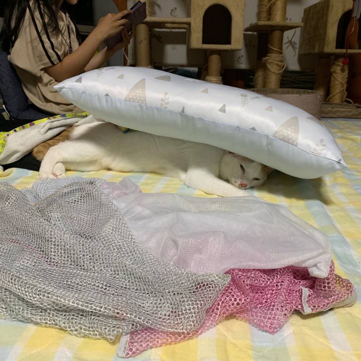 84f008af 1ad3 48c1 8fda dee8c79d2447 1559048984424