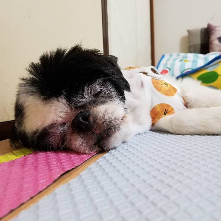 84f02305 6987 4ebf a315 8385856578cc 1631442574169