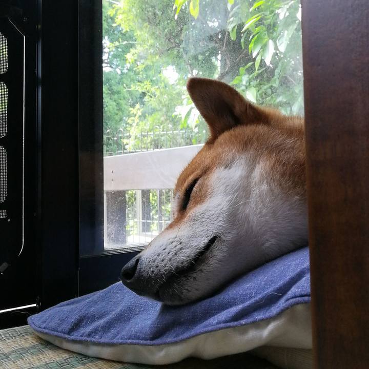 84f034d9 092c 4324 aafc 70f3ea826857 1592970074826