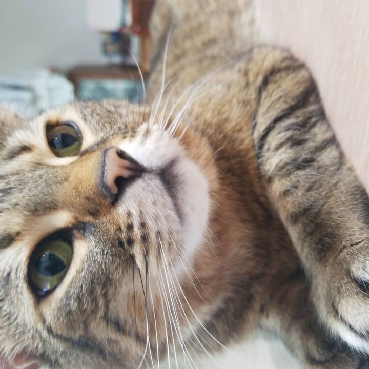 84f077ad 544a 4461 a9a0 38ab51426bdb 1586207913515