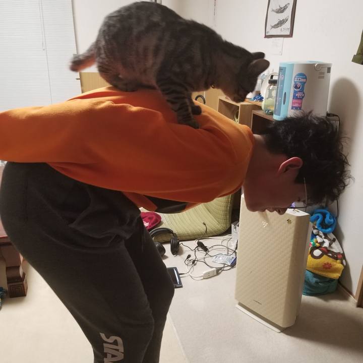 84f0aa87 cfa7 44d9 88ca 362f300ffa2a 1674485450753