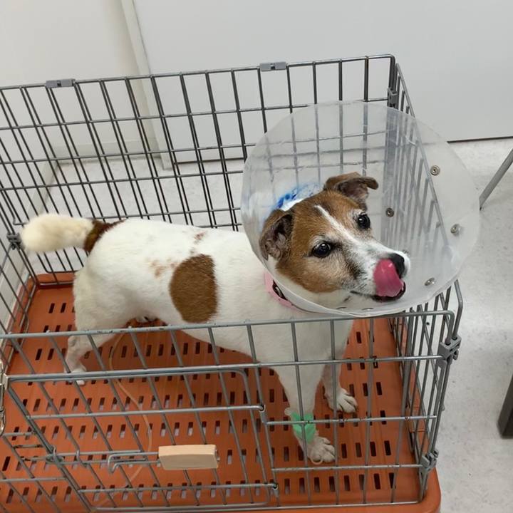 84f0ef65 bcda 4a65 86e7 8962b670d210 1563624207578