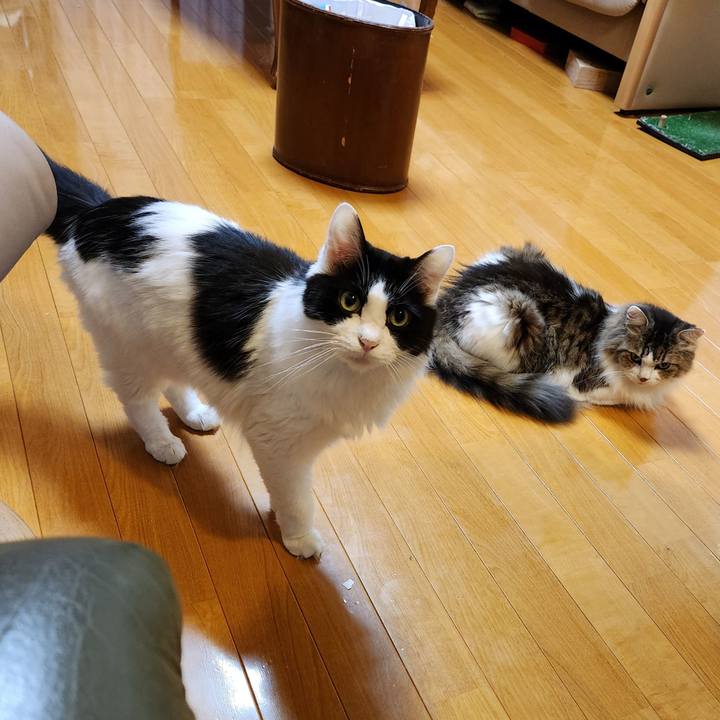 84f10db1 6072 4dbc a80d 30dc25d88f90 1696420220564