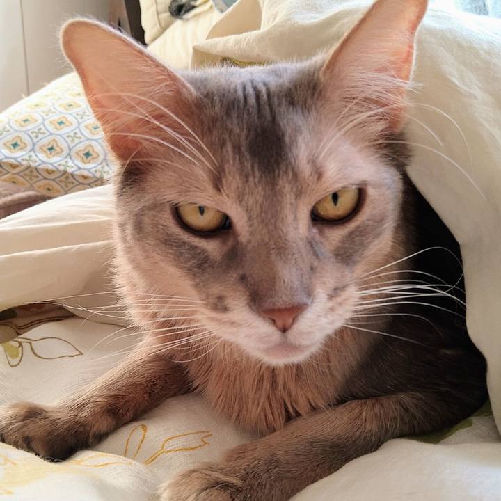 84f12f59 5313 48c8 a012 51a386e98418 1613199733175