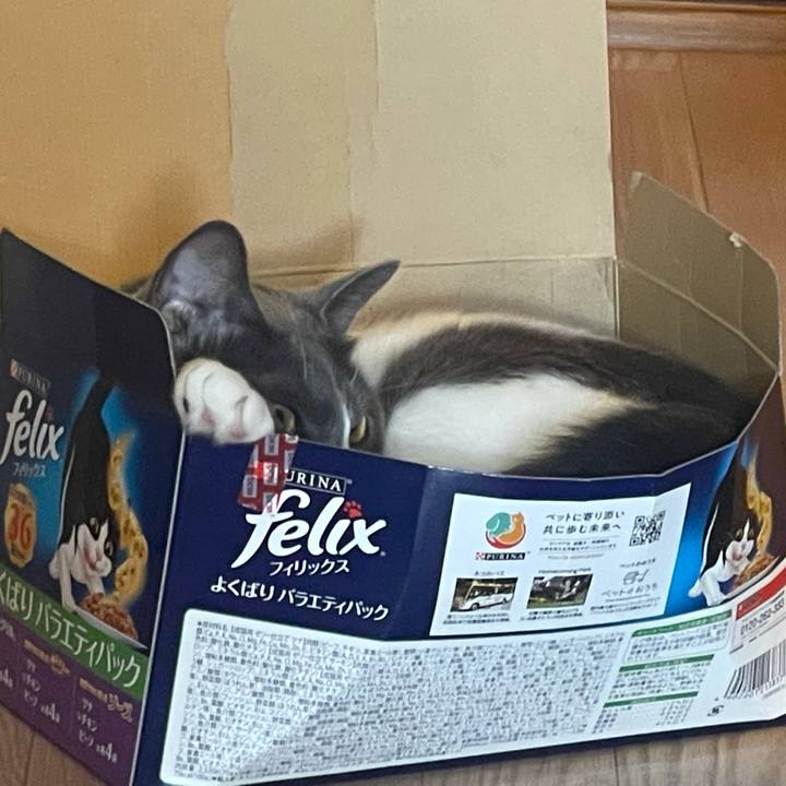 84f13f2a fcbb 4a4c b8e0 70ef9cab5407 1634171983935