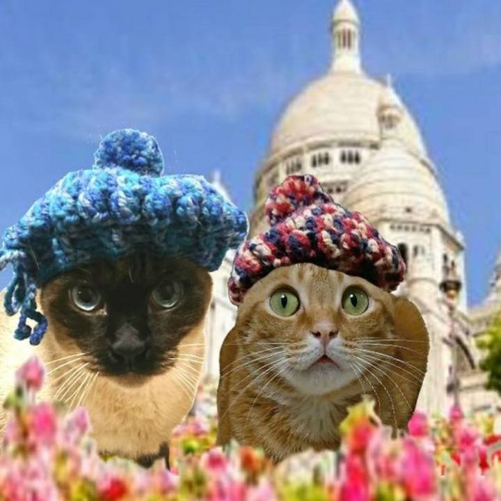 84f17bf7 ee81 439f 9f85 85d569076f11 1582151468479